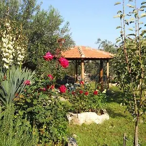  Apartment Branimir